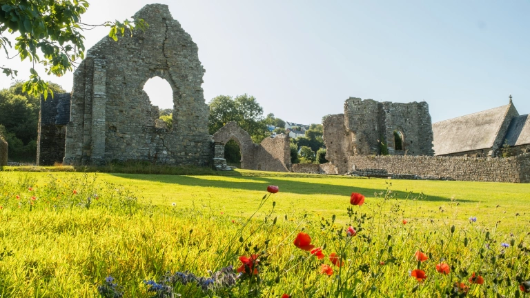 Adfeilion Abaty Llandudoch
