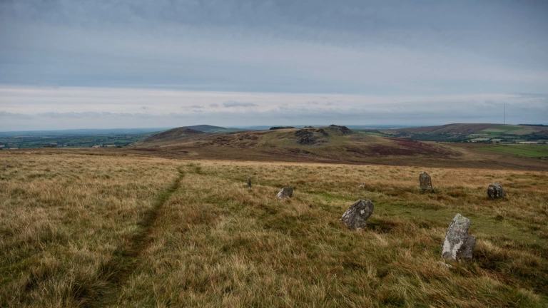 Preseli