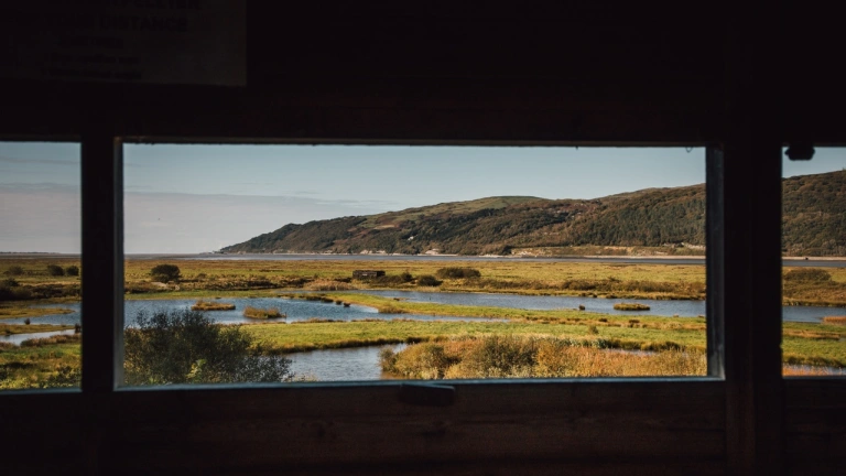 Cuddfan mewn gwarchodfa natur yn edrych allan ar wlypdiroedd.