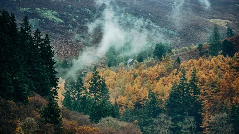 Llun o dŷ yng nghanol coedwig hydrefol, wedi ei amgylchynu â tharth