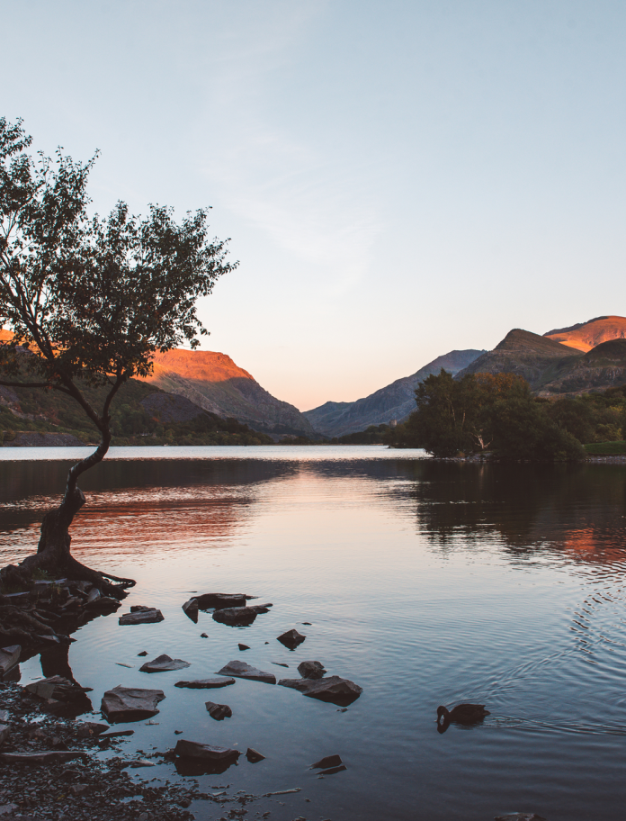 Llyn gyda choed a mynyddoedd yn y cefndir