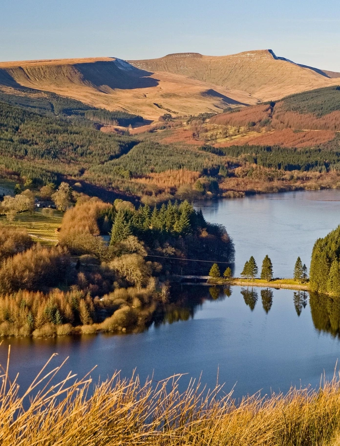 Cronfa ddŵr wedi’i hamgylchynu â choed.