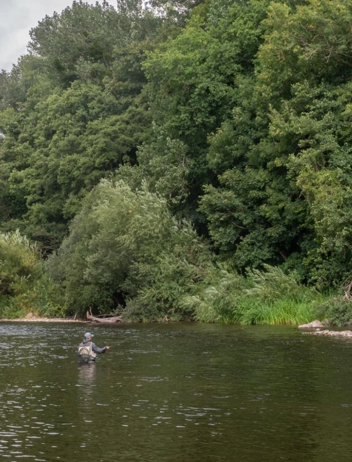 Dyn yn pysgota â phlu mewn afon.