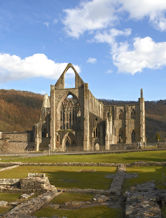 Abaty Tyndyrn wedi’i amgylchynu â choed