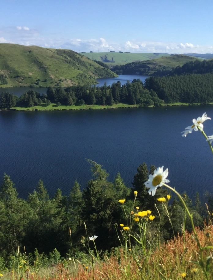 Llyn mawr gyda gwyrddni.