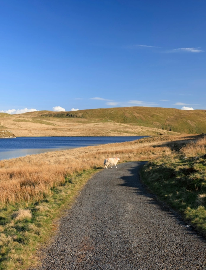 Llwybr troed o amgylch y llyn.