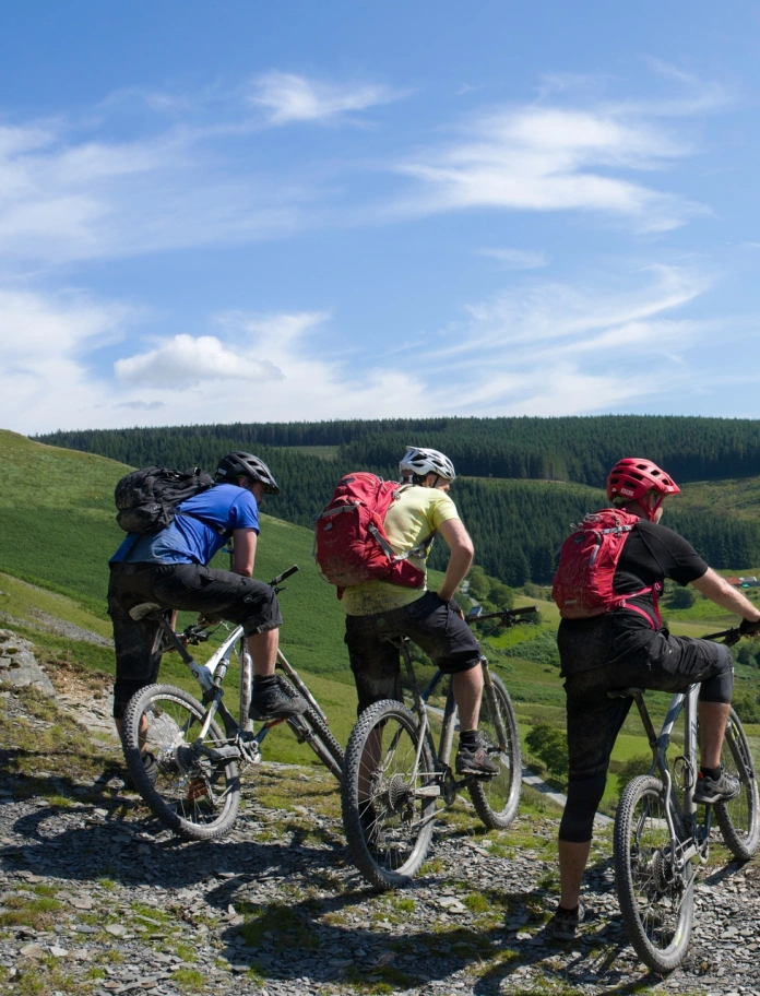Tri beiciwr mynydd yn edrych i lawr bryn.