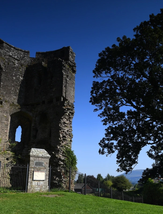 olion castell ar laswellt gyda choeden fawr.