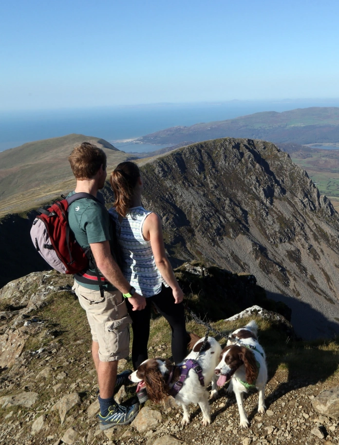 Dyn a menyw gyda dau gi yn sefyll ar fynydd yn edrych tuag at fwy o fynyddoedd