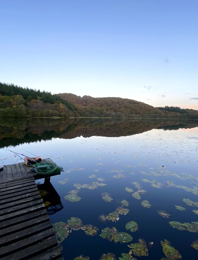 Edrych dros lyn gyda choed o’i amgylch sy’n cael eu hadlewyrchu yn y dŵr, ac awyr las uwchben.
