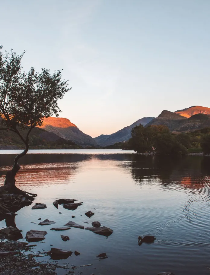 Llyn gyda choed a mynyddoedd yn y cefndir