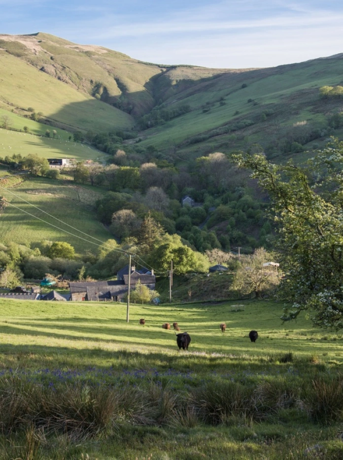 Fferm Cefn Coch gyda’r ucheldiroedd y tu hwnt iddi.
