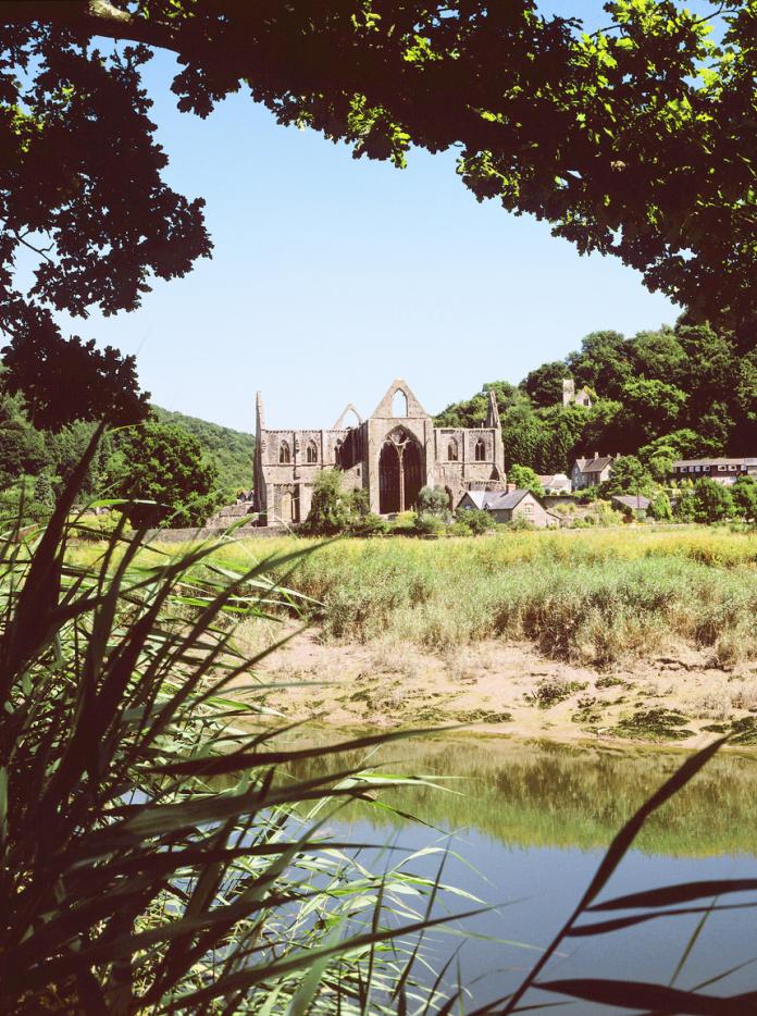 An image of Tintern Abbey from the banks of the river Wye
