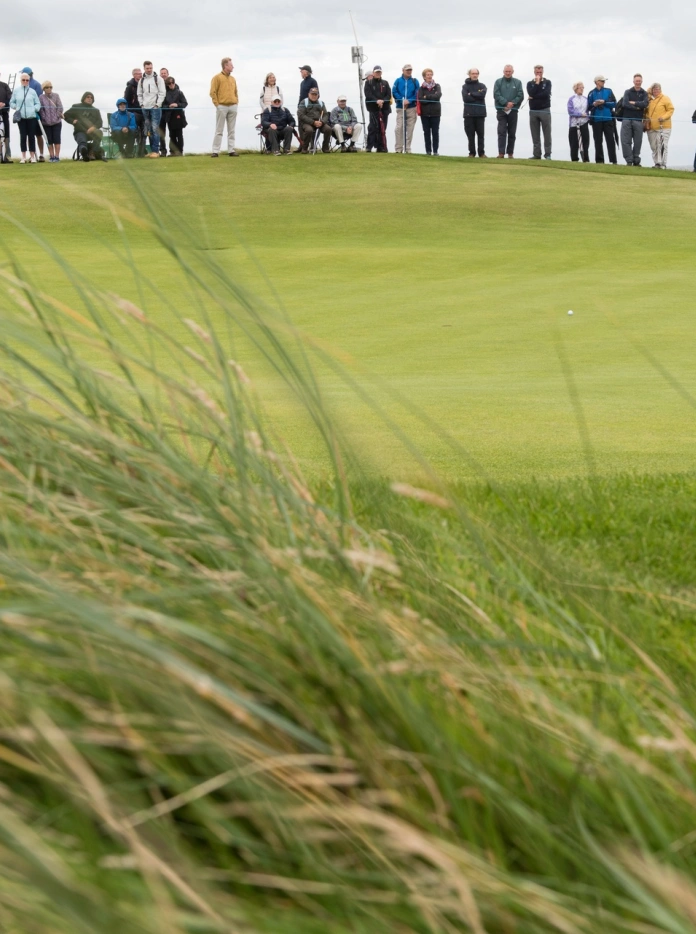 Pobl yn sefyll ar y cwrs golff yn gwylio golffiwr