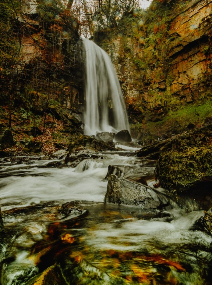 rhaeadr lifeiriol mewn coedwig hydrefol 