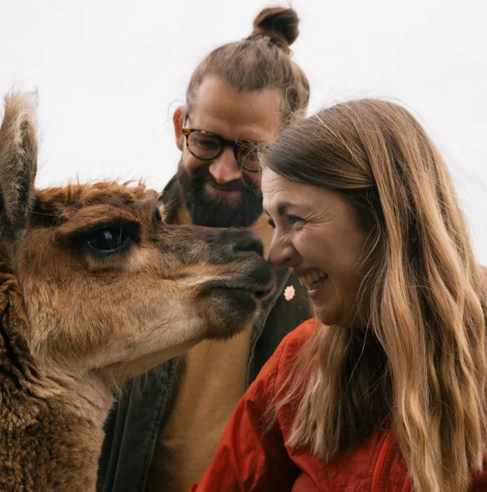 Two people and an alpaca. The person in the foreground is nose to nose with the alpaca and laughing.