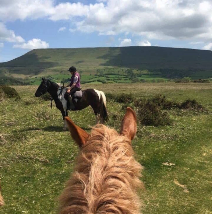 Two horses, one with rider and mountain background