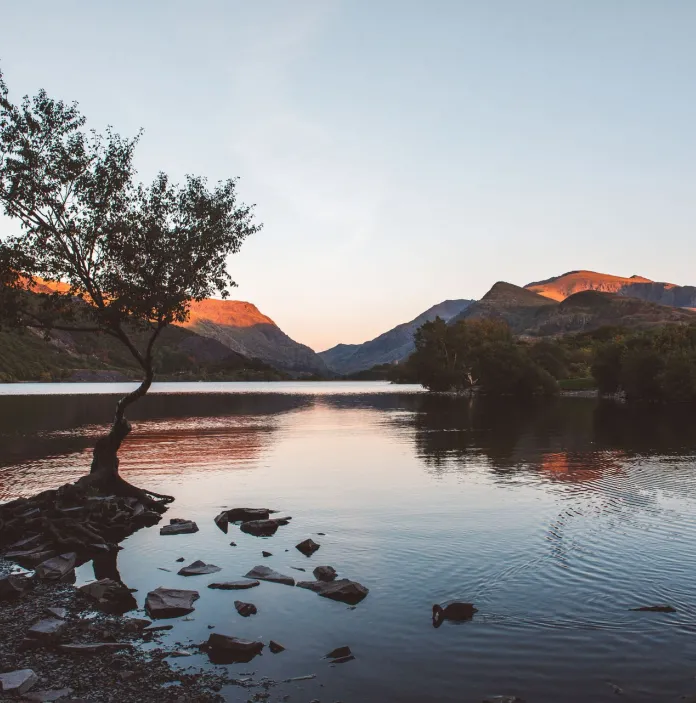 Llyn gyda choed a mynyddoedd yn y cefndir