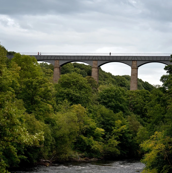 Llun o'r draphont gyda choed ac afon islaw
