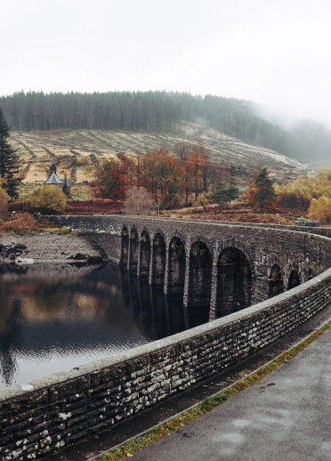 Dau berson yn mynd â dau gi am dro dros bont, gyda choed hydrefol yn y cefndir
