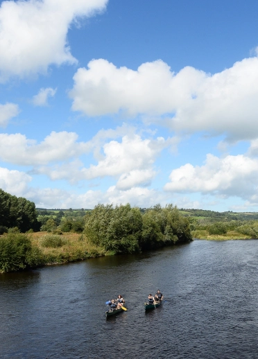 Dau ganŵ ar Afon Gwy.
