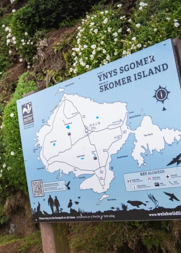 Bwrdd gwybodaeth yn dangos map o Ynys Sgomer.