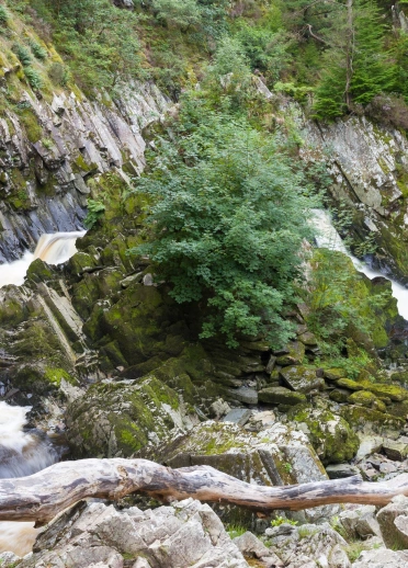 Dwy raeadr gyda chreigiau a gwyrddlesni yn eu hamgylchynu.