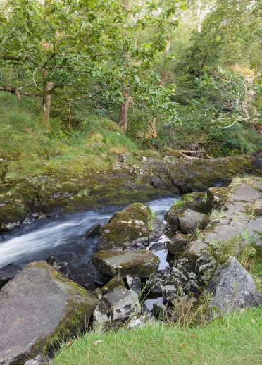 dŵr yn llifo’n gyflym a chefn gwlad o’i amgylch.