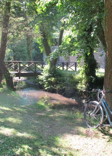 Beic ger coeden gyda nant a phont.