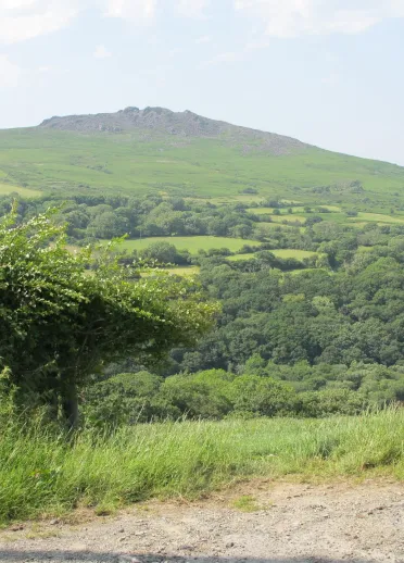 Llwybr, giât agored a llwyni gyda bryn yn y pellter.