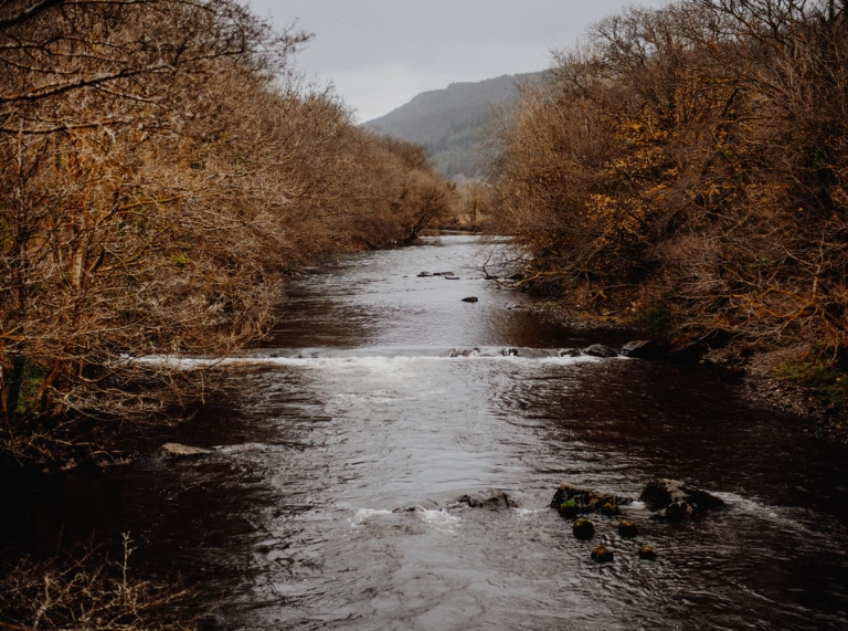 Dyfroedd tywyll camlas gyda choed hydrefol ar y ddwy ochr