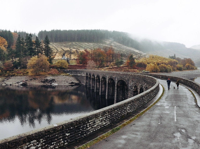 Dau berson yn mynd â dau gi am dro dros bont, gyda choed hydrefol yn y cefndir