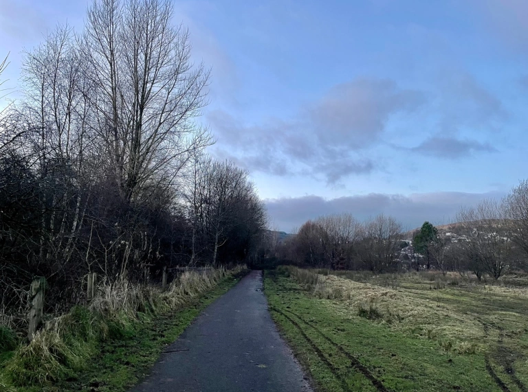 Llwybr hir gyda glaswellt a choed o'i gwmpas