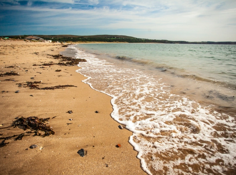 Traeth gyda gwymon ar y tywod.