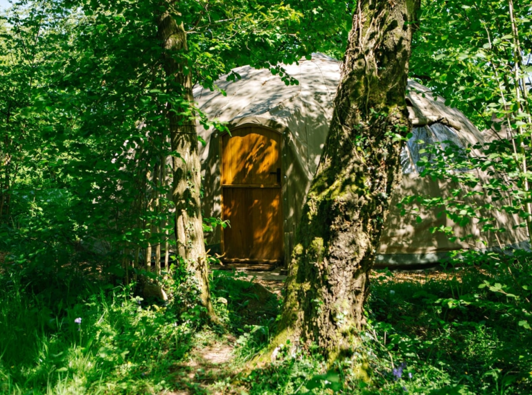 Pod glampio ynghudd yn y goedwig