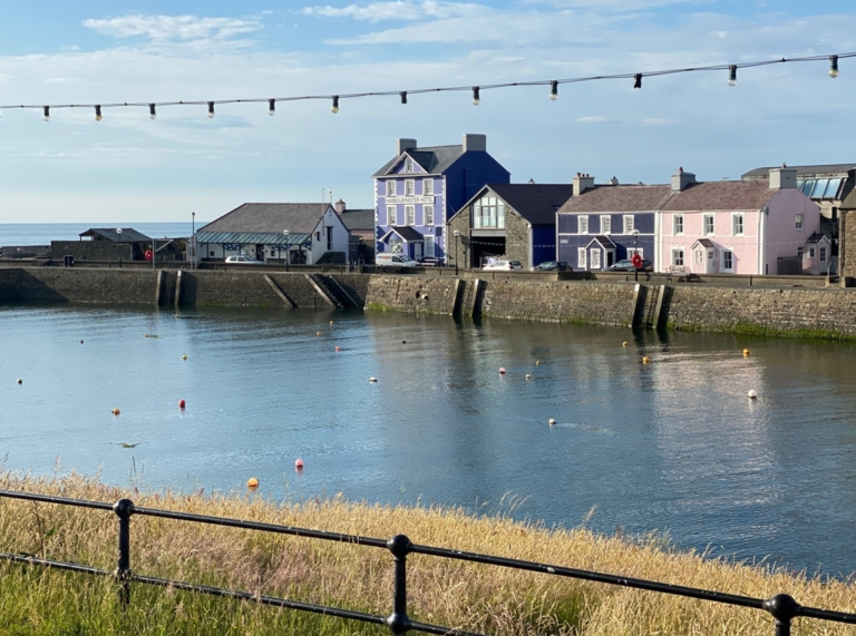 Bythynnod o wahanol liwiau’n edrych dros yr harbwr.