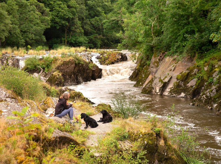 Menyw â dau gi yn eistedd ger rhaeadr ac afon.