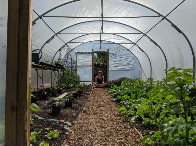A lady sat down crossed-legged in a polytunnel full of plants.