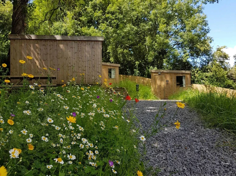 Golygfa allanol haf o gabannau pren wedi’u hamgylchynu gan flodau dolydd yr haf.