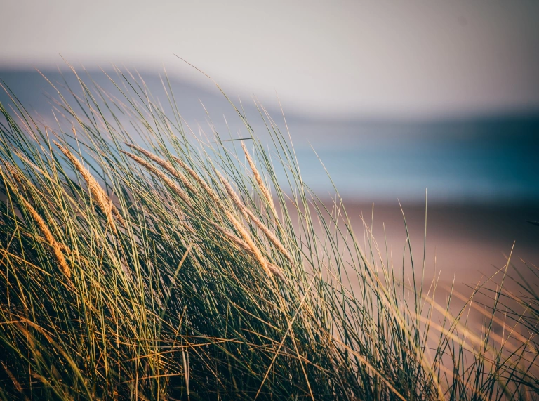 Porfa hir gyda traeth yn y cefndir