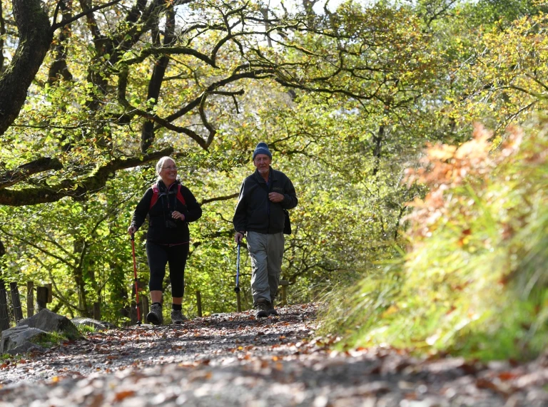 Cerddwyr ar drywydd y rhaeadr