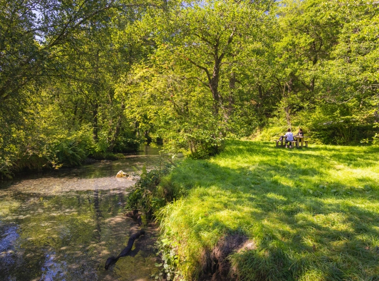 A shallow river in woodland, with a picnic bench on grass nearby.