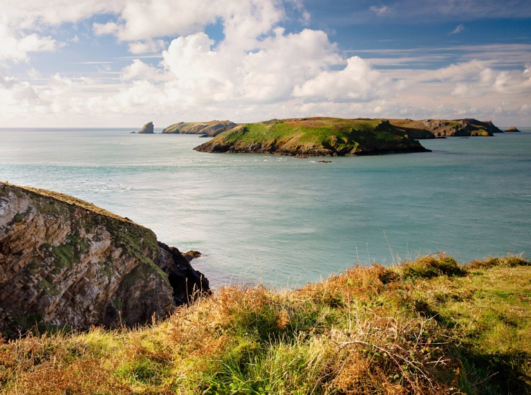 Golygfa yn edrych allan dros Ynys Sgomer