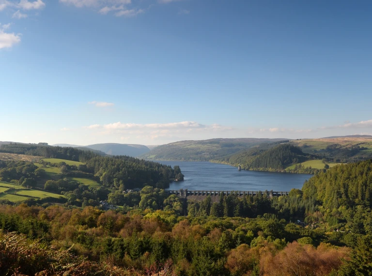 Edrych i lawr ar Lyn Efyrnwy, y coed a'r bryniau