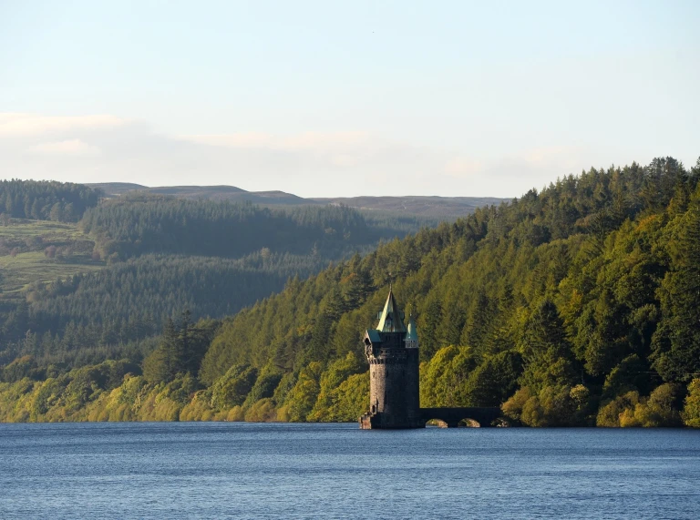 Llun o'r llyn gyda'r tŵr hidlo, a choed yn y cefndir