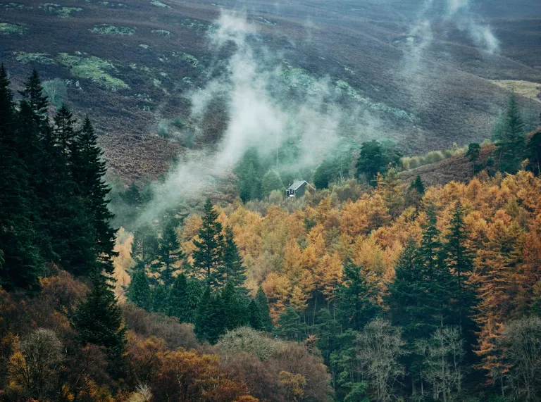 Llun o dŷ yng nghanol coedwig hydrefol, wedi ei amgylchynu â tharth