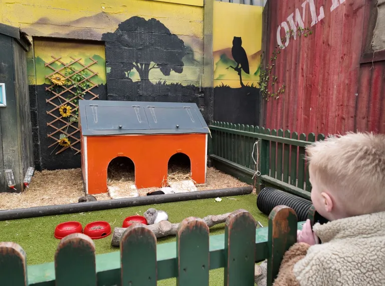 Bachgen a menyw yn edrych ar gwningod mewn lloc mawr mewn sŵ.