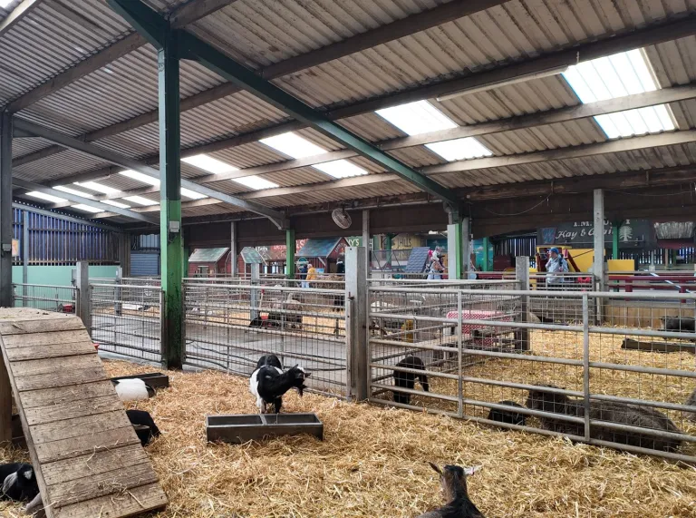 Anifeiliaid fferm mewn ysgubor fawr.