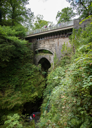 Golygfa o Bontarfynach ymysg coetir