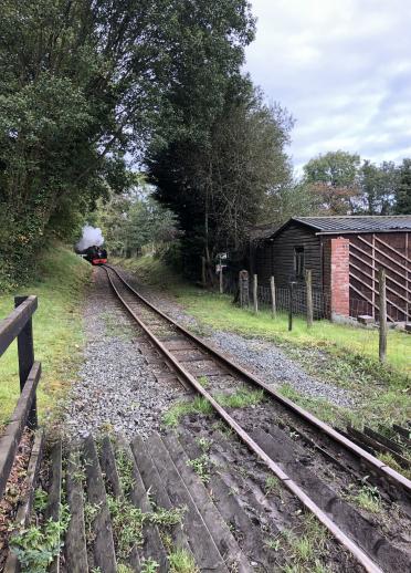 Steam train making its way along the Rheidol Railway